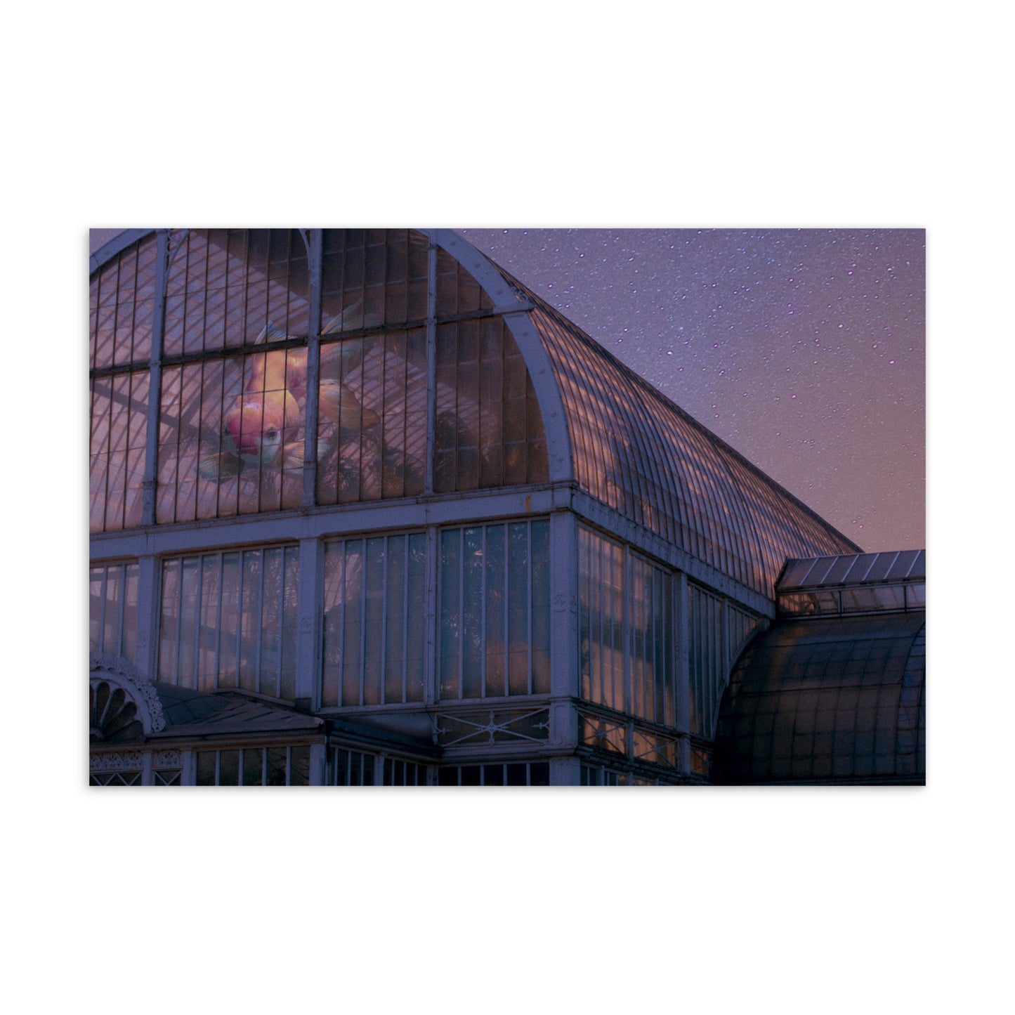 Postcards from my Dreams, No. 8
