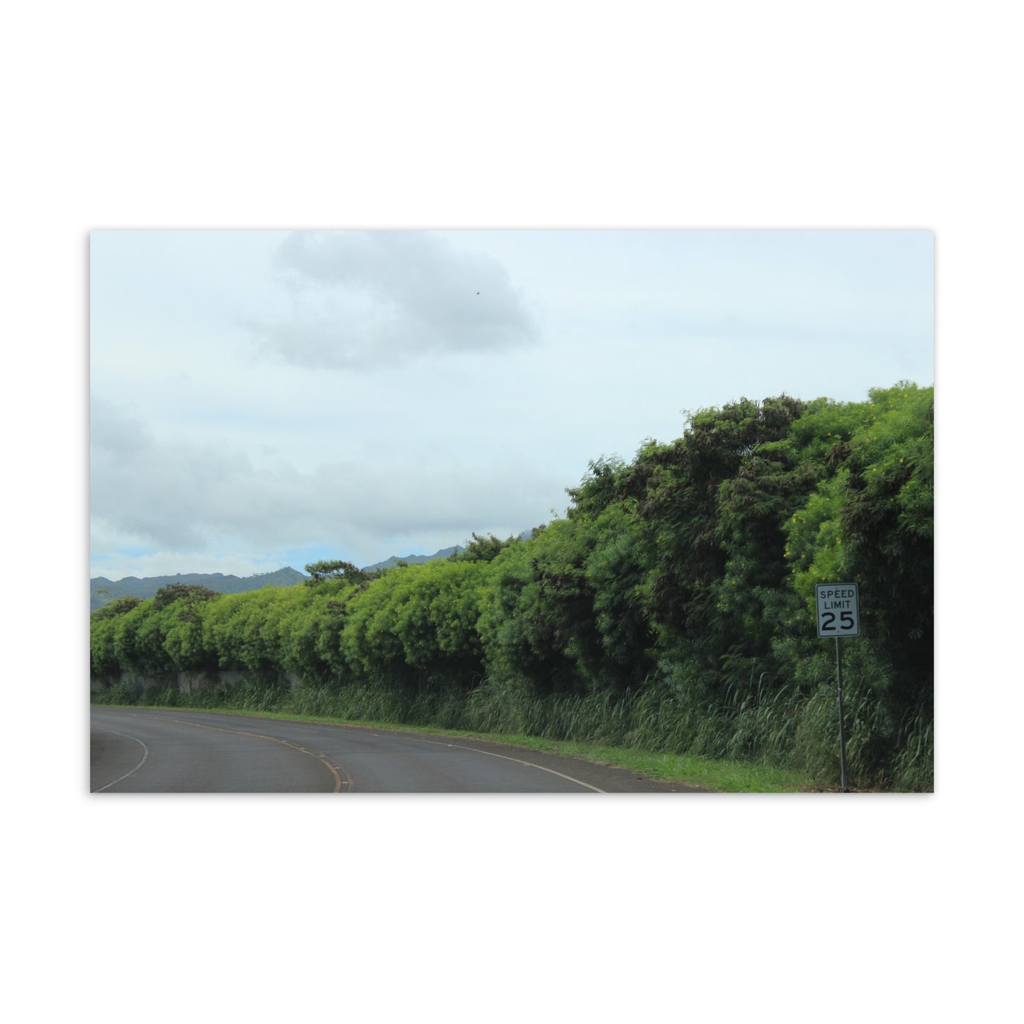 Around the Bend (Postcard)