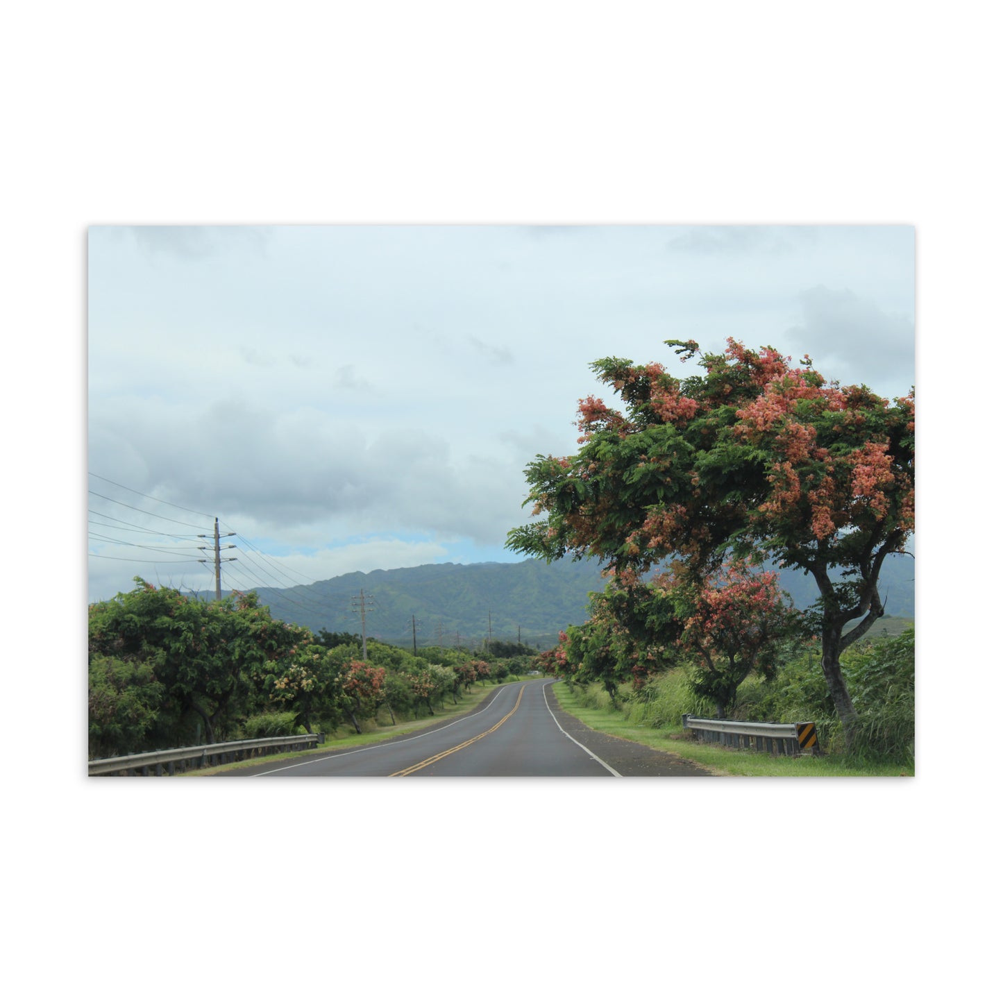 Rainbow Road, No. 1 (Postcard)