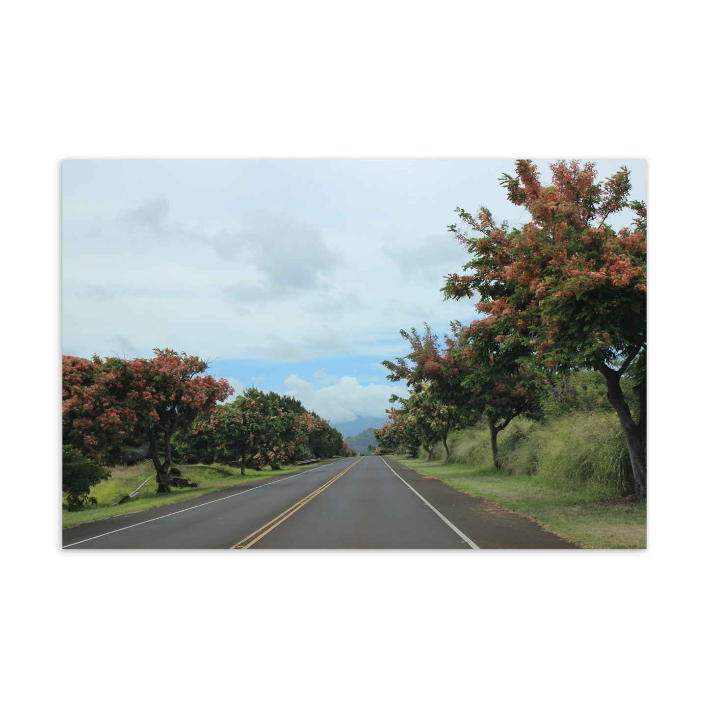 Rainbow Road, No. 2 (Postcard)