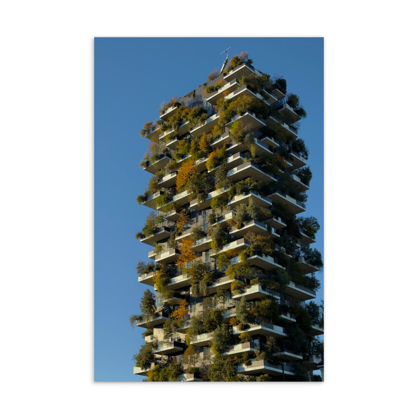 The Vertical Forest (Postcard)