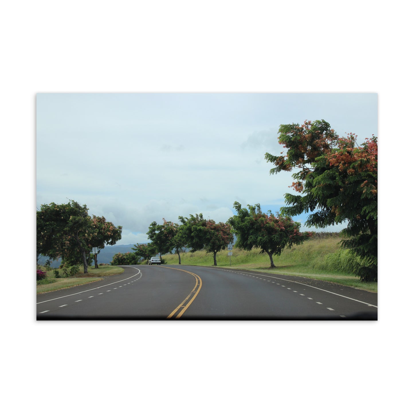 Rainbow Road, No. 4 (Postcard)
