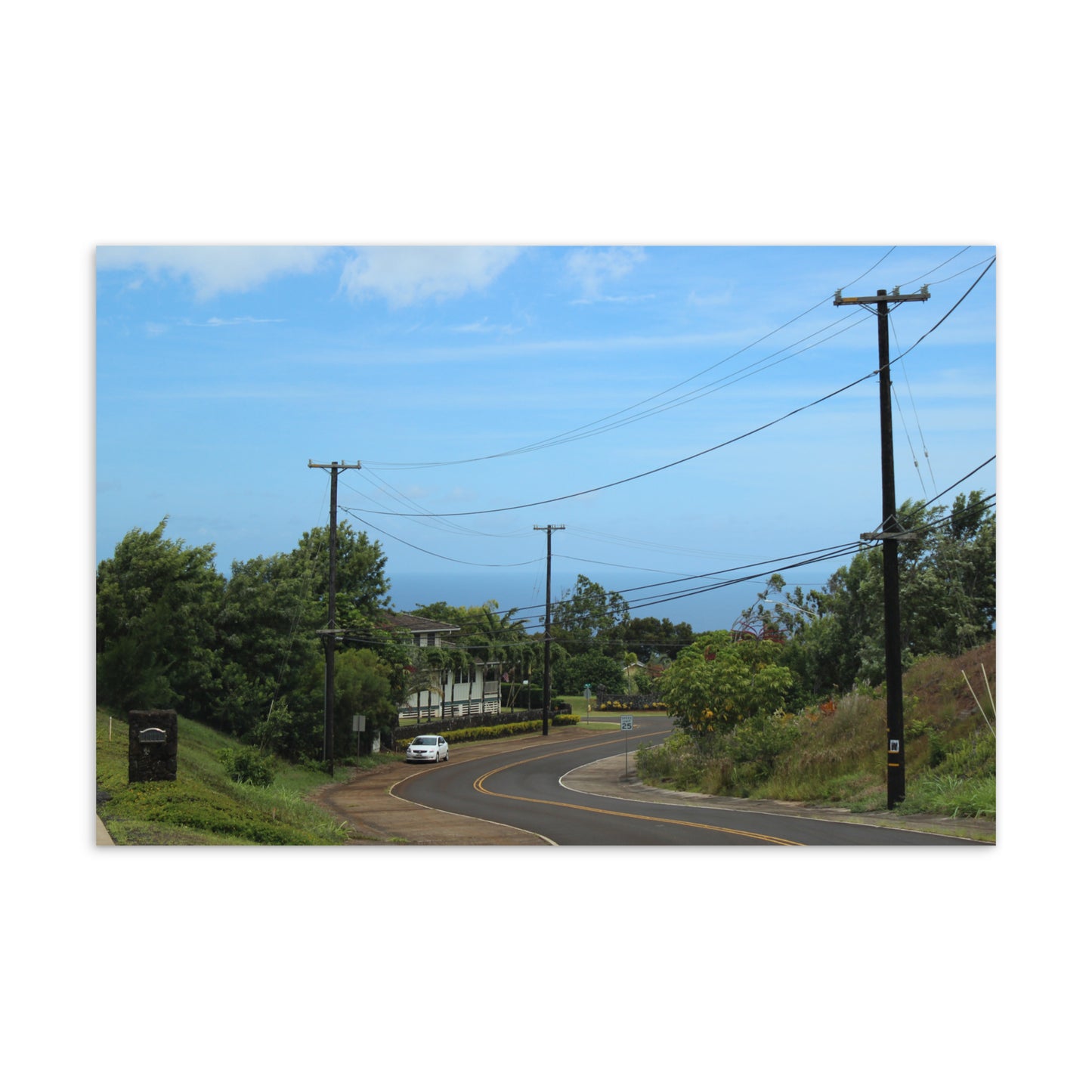 A View to New Beginnings (Postcard)