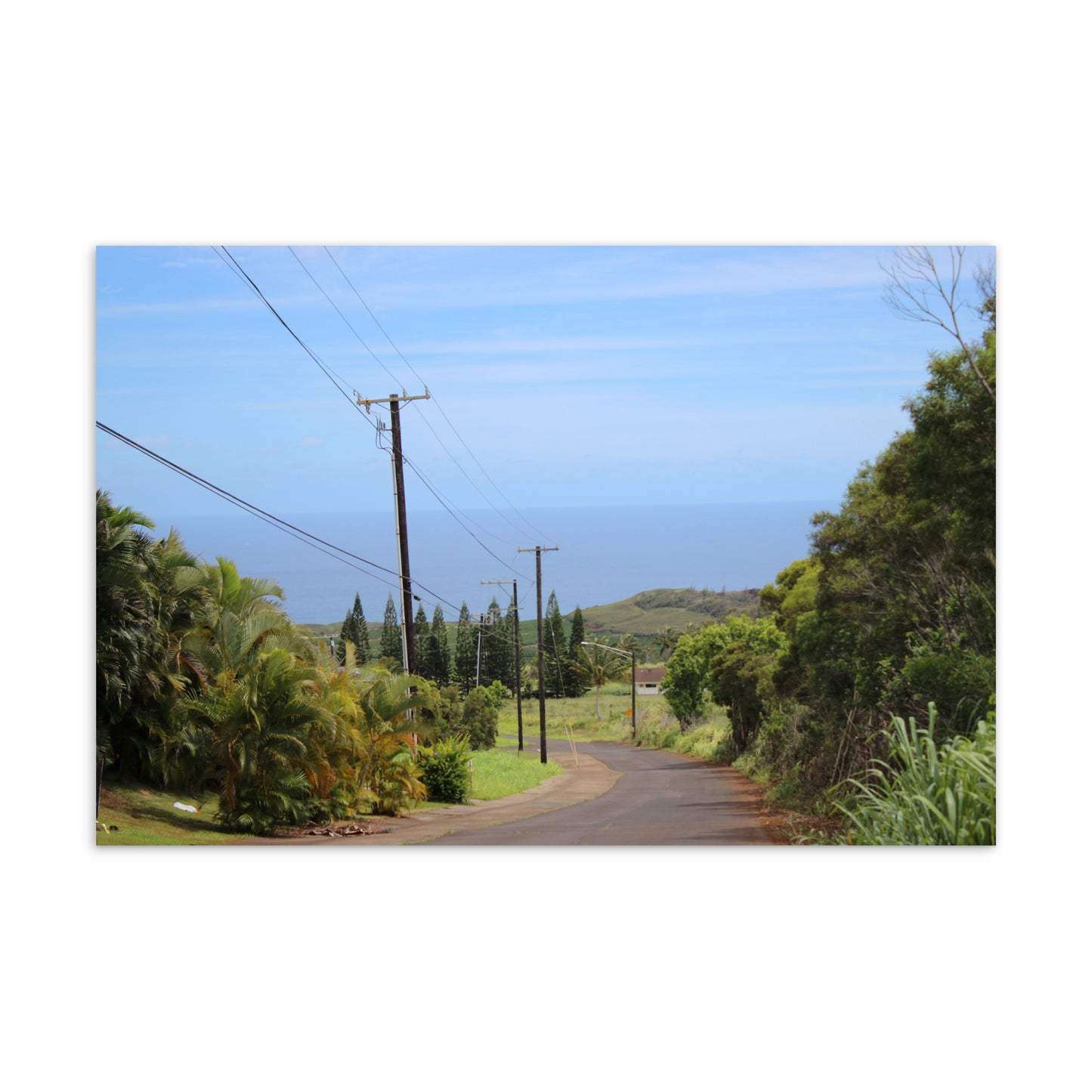 Streets, No. 2 (Postcard)