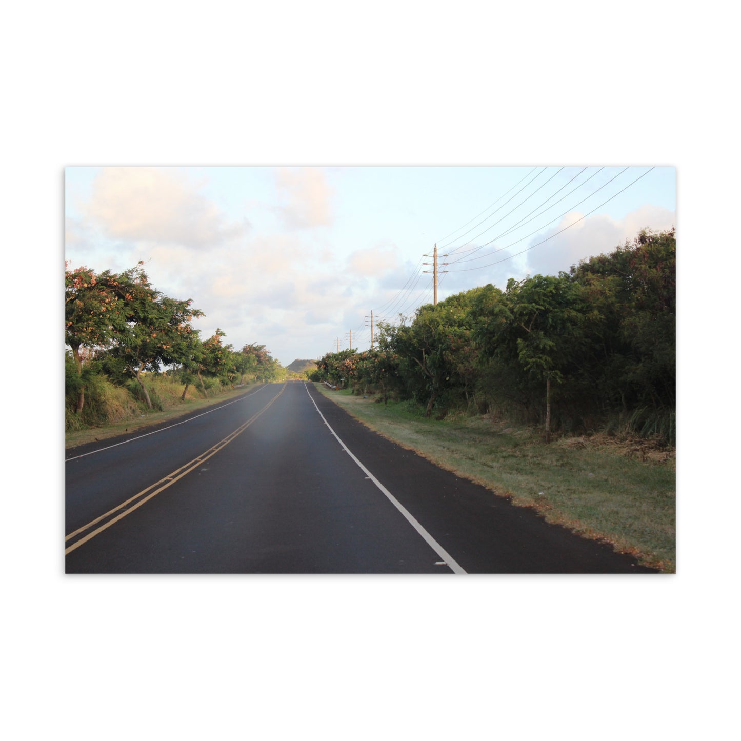 Streets, No. 3 (Postcard)
